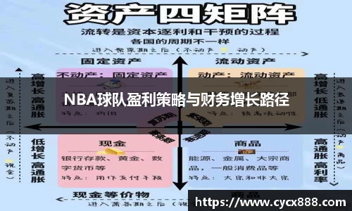 NBA球队盈利策略与财务增长路径