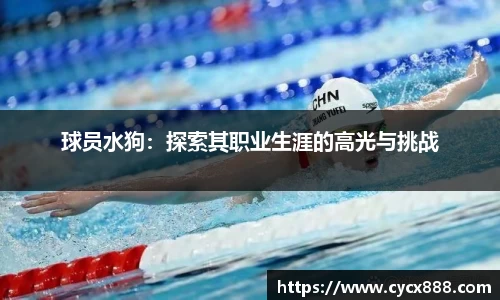 球员水狗：探索其职业生涯的高光与挑战